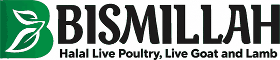 Bismillah — Halal Live Poultry, Live Goat and Lamb