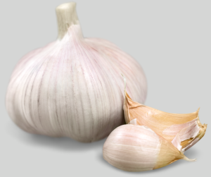 Garlic-Each